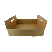 Kraft paper tray with handles