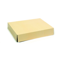 Ivory cardboard lid