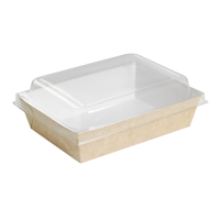 Clear rectangular PET dome lid